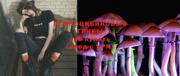 прущая мука Кукмор